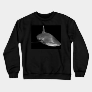 The Sly Grin of An Oceanic White Tip Shark Crewneck Sweatshirt